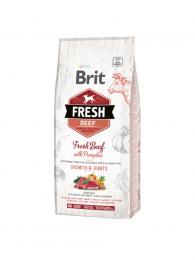 Brit Fresh Dog Beef & Pumpkin Puppy Large 12 kg