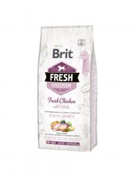 Brit Fresh Dog Chicken & Potato Puppy Healthy Growth 2,5 kg