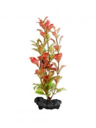 Tetra Akvarijní rostlina Red Ludwigia S 15 cm