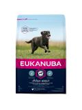 Eukanuba Adult Large Breed 3 kg