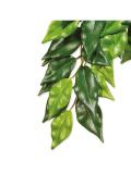 Hagen Exo Terra Rostlina textil Ficus střední 55 cm