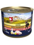 Ontario konzerva Mini husí maso, brusinky, pampeliškový a lněný olej 200 g