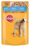 Pedigree kapsa junior drůbež 100 g