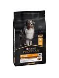 Pro Plan Dog Adult Medium & Large Duo Délice Chicken 10 kg