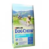 Purina Dog Chow Puppy Large Breed 14 kg