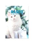 Rasco Adventní kalendář pro kočky