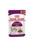 12 x Royal Canin kapsička Sensory Smell in gravy 85 g