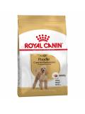 Royal Canin Pudl Adult 500 g