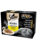 Sheba Delicacy multipack 10+2 drůbeží výběr v želé 12x85 g